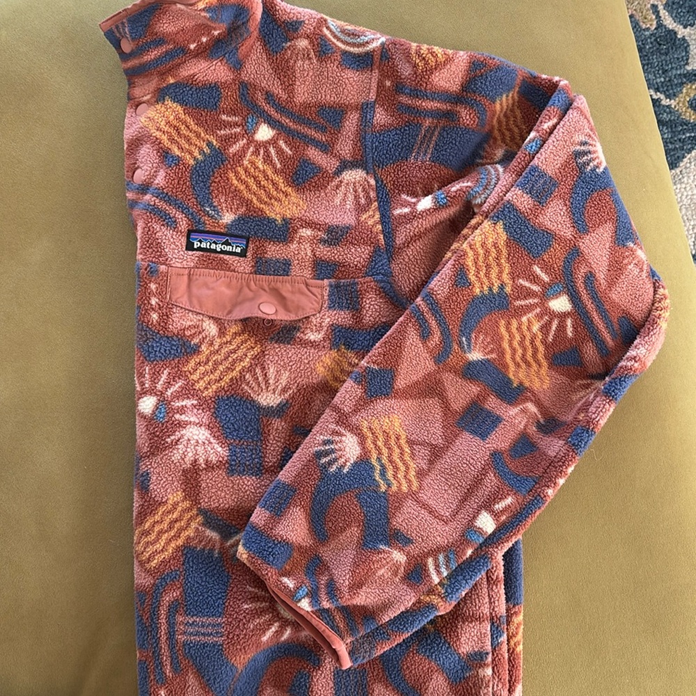Rare Patagonia Synchilla